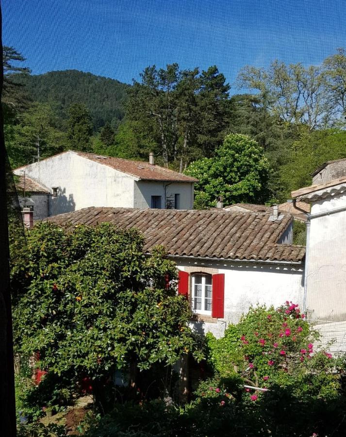Vista Cevenol: Appartement 2 Chambres Saint-Jean-du-Gard Eksteriør billede