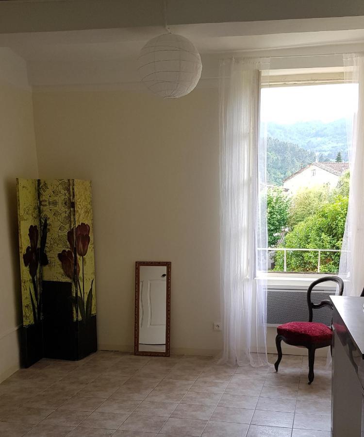 Vista Cevenol: Appartement 2 Chambres Saint-Jean-du-Gard Eksteriør billede